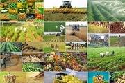 ايران والهند تتفقان على تشكيل لجنة مشتركة للتعاون الزراعي