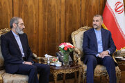 «اسدالله اسدی» با امیرعبداللهیان دیدار کرد