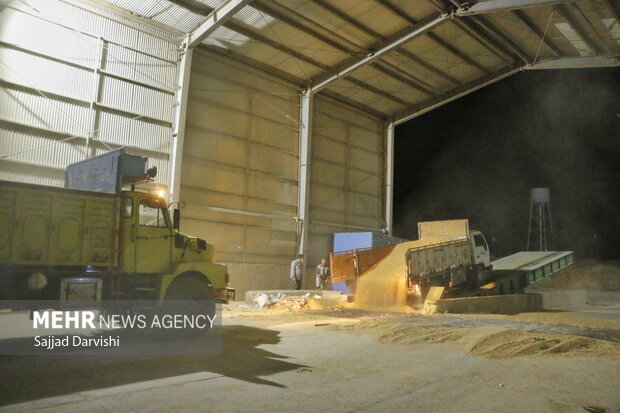 ایران کے کوہدشت نامی شہر میں گندم کی کٹائی شروع
