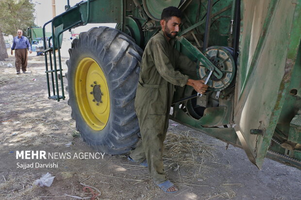 موسم برداشت گندم در شهرستان کوهدشت 18