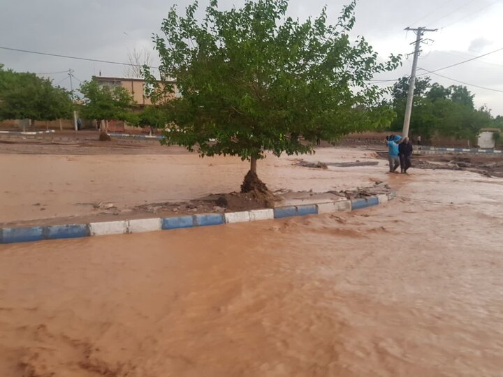 خسارت ۲ هزار میلیاردی سیل به اصفهان/۶۰۰ رأس دام تلف شد