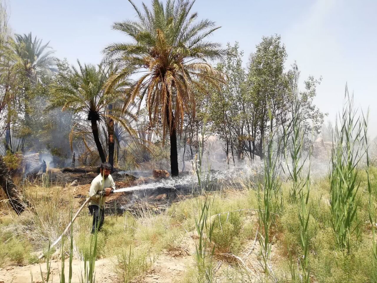 روستاهای جنوبی خوروبیایانک ماشین آتش نشانی ندارد/سوختن ۱۵۰۰ نخل