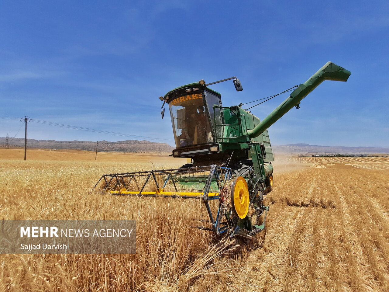 خرید تضمینی ۱۳۴ هزار تن گندم از مزارع استان کرمانشاه
