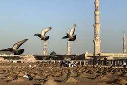 Pilgrims visit Al Baqi Cemetery during Hajj al-Tamattu