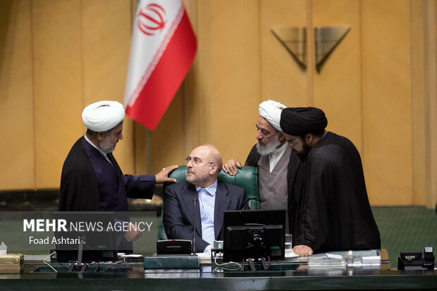 Iranian MPs give vote of confidence to new industry minister
