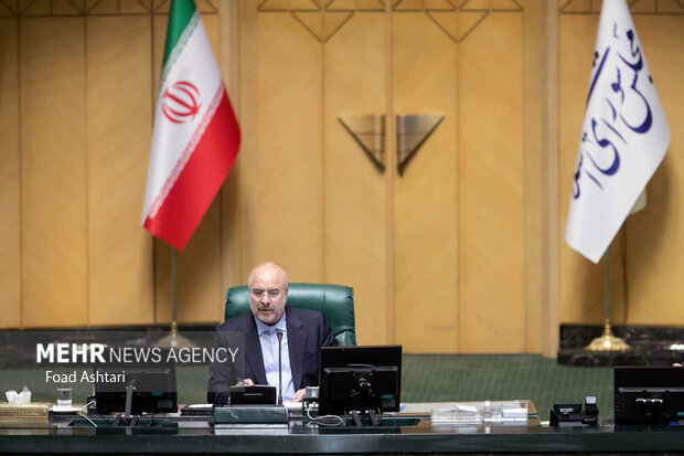 Iranian MPs give vote of confidence to new industry minister
