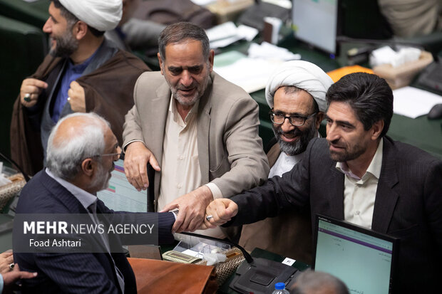 Iranian MPs give vote of confidence to new industry minister
