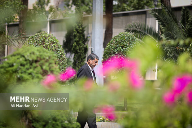 حاشیه هیئت دولت 13