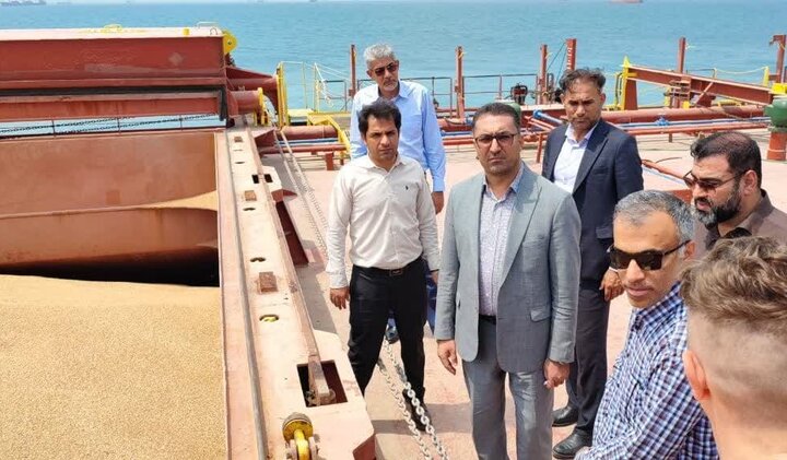 صدور دستور قضایی برای ترخیص محموله 70 هزار تنی گندم وارداتی