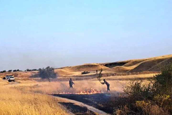 آتش‌سوزی در گندم‌زارهای دورود