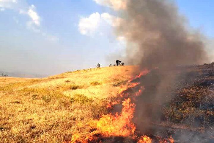 آتش سوزی مزارع گندم «ششده و قره بلاغ» در استان فارس 