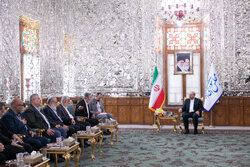 Iranian Parliament speaker meets Islamic Jihad chief