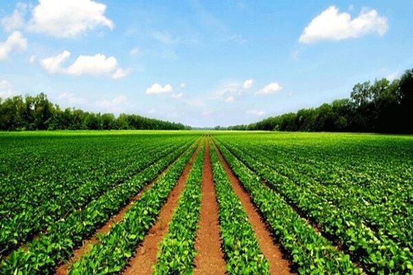 راه اندازی دهکده های فناوری و نوآوری کشاورزی در ۹ استان