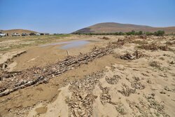 خسارت سیل‌زدگان اردبیل جبران می‌شود