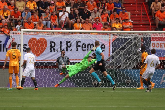 سومی ایتالیا با پژمردگی لالههای نارنجی