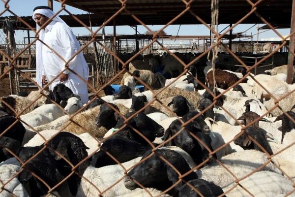 تعطیلات عید قربان در کشورهای عربی و اسلامی چند روز است؟