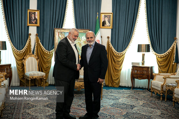 دیدار هیئت حماس با دبیر شورای عالی امنیت ملی