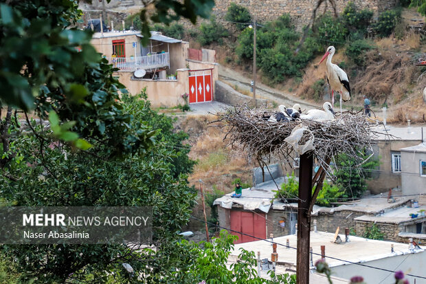 زیباترین دریاچه ایران منتظر مسافران نوروزی/مریوان شهر زیباییها