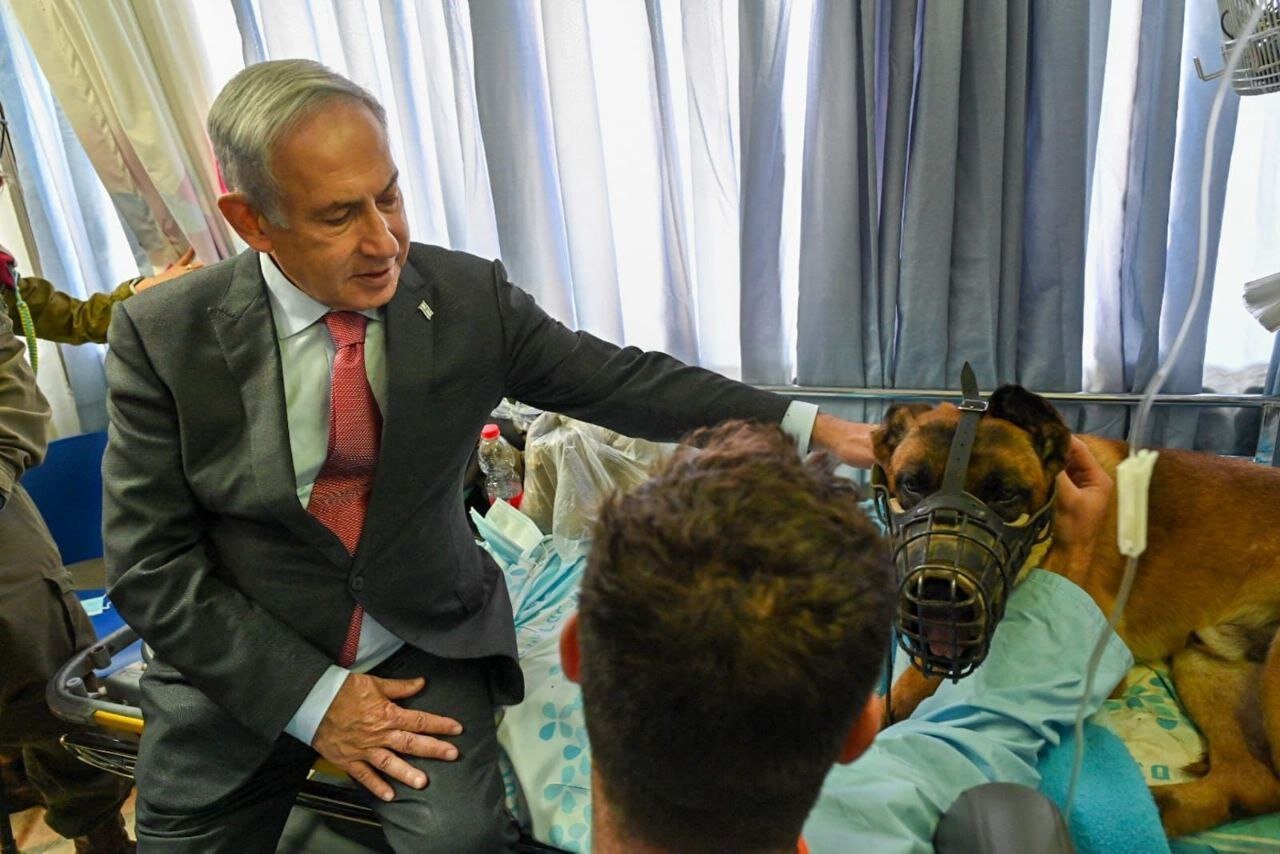 The humiliated occupiers