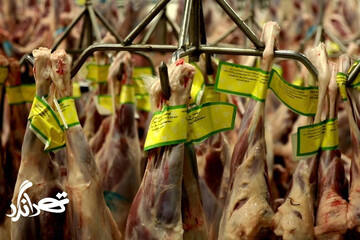 فرآوری گوشت در شهرری سوژه «تهرانگرد» شد