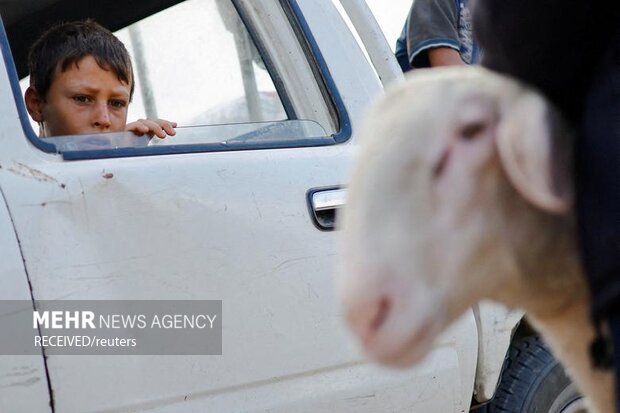 عکس‌های منتخب هفته در جهان
