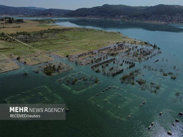 عکس‌های منتخب هفته در جهان