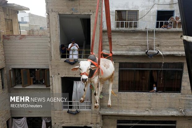 عکس‌های منتخب هفته در جهان