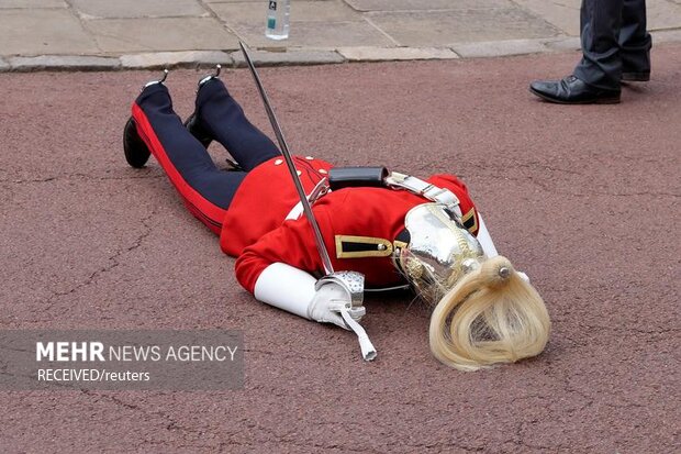 عکس‌های منتخب هفته در جهان