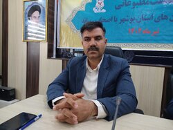 ۱۲۱ زندانی جرایم غیر عمد در استان بوشهر داریم