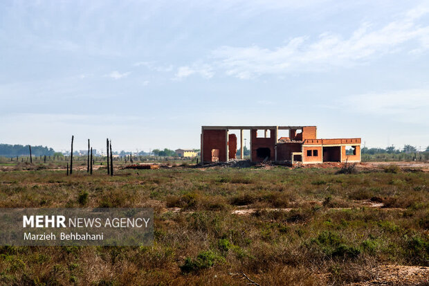 اروندکنار؛ سرزمین نخلهای بی سر