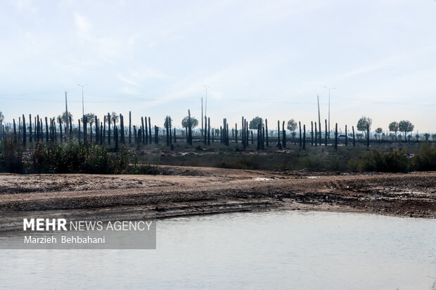 نگاهی به نقش صیادان در دفاع مقدس/ لنجداران در کنار رزمندگان