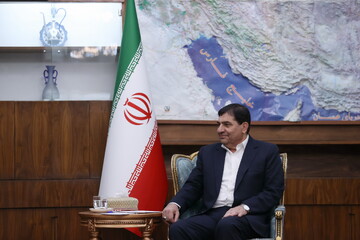 نائب الرئيس الإيراني يؤكد ضرورة اتخاذ قرارات خاصة لرفاهية زوار الأربعين