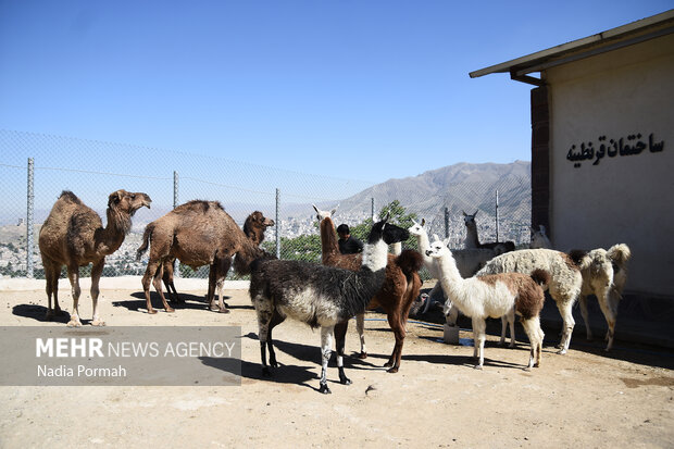 پارک محیط بان، اولین پارک سافاری ایران