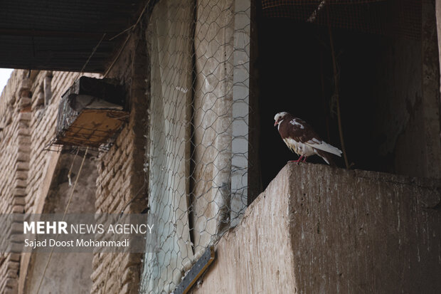 کاروانسرای هندوها در کرمان