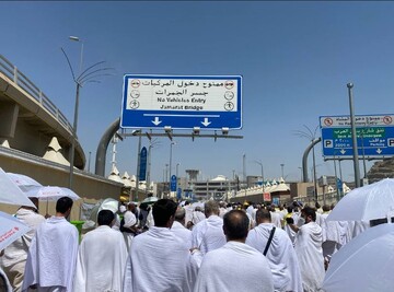 ۲۲ زائر ایرانی در عربستان فوت کردند/ گلایه سرپرست حجاج ایرانی