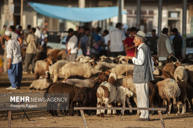 حال و هوای مال بازار گنبد در روز قبل از عید قربان