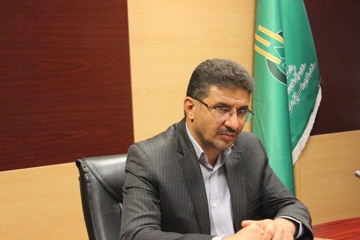 بالاخره دست گوجهکاران به دسترنجشان میرسد