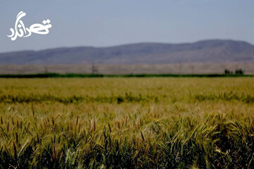 «تهرانگرد» سراغ «کشاورزی دانش‌بنیان» می‌رود