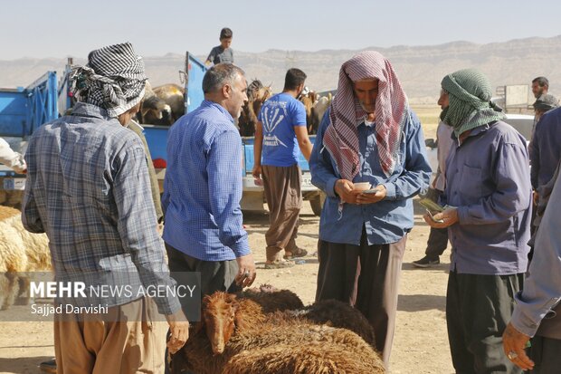 فروش دام در روز عید قربان