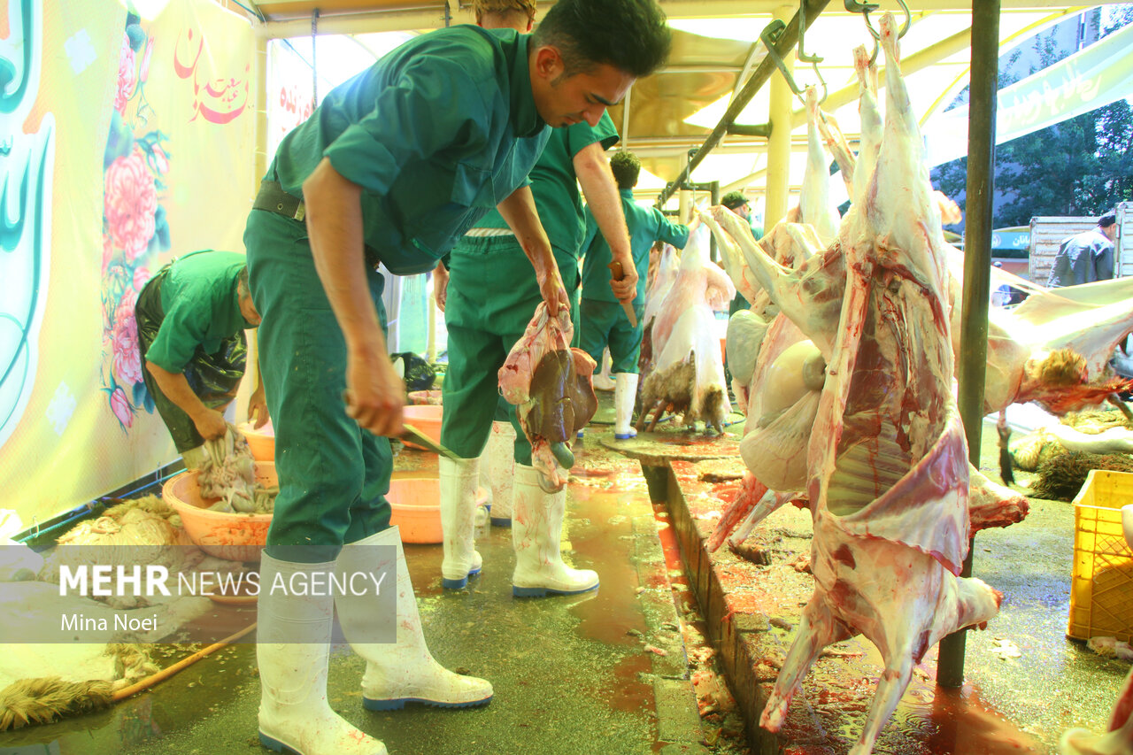 فروش دوره گردی دام در مازندران؛ گوشت در کانال حیرانی!