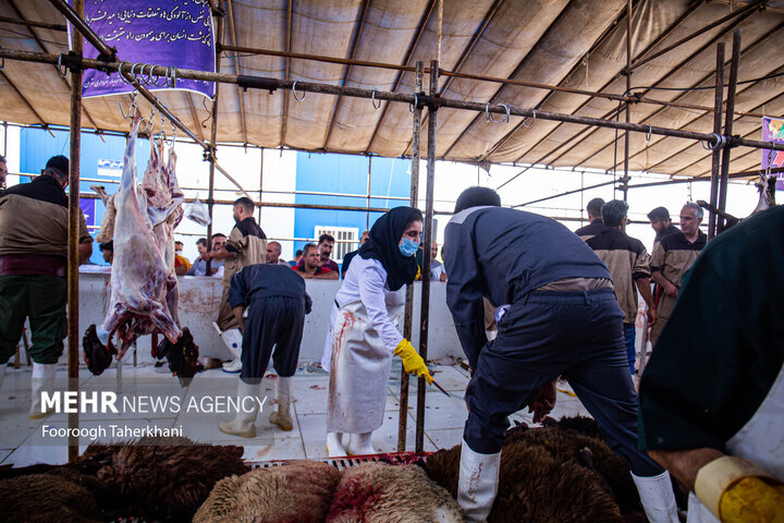 در آستانه عید سعید قربان، مردم شهر تهران آماده برگزاری این جشن بزرگ می‌شوند. قربانی کردن گوسفند و تقسیم گوشت بین همسایگان و مستمندان یکی از کارهای توصیه شده برای این عید است