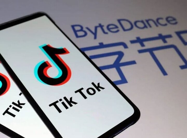 TikTok to market Iranian products in China: TCCIM