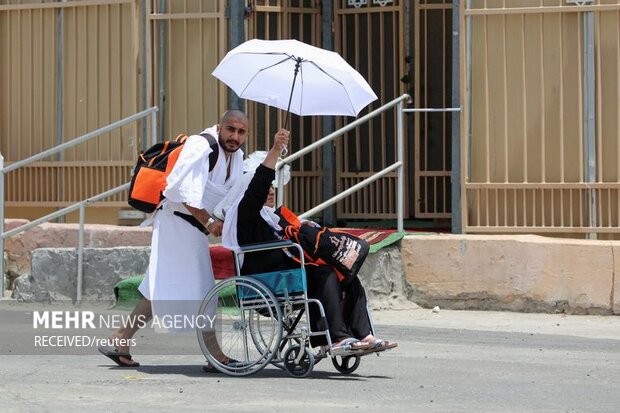 تصاویر منتخب حج