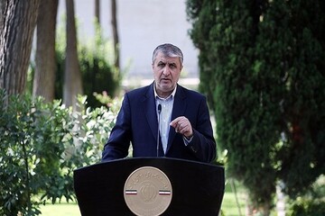 واکنش رییس سازمان انرژی اتمی درباره میزان غنی‌سازی در ایران