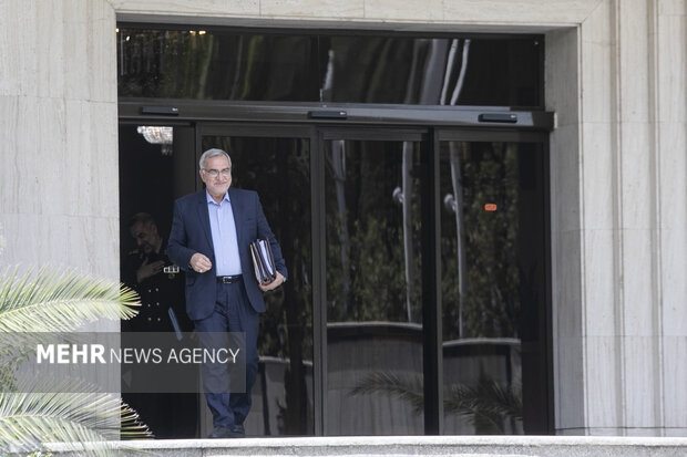 بهرام عین الهی وزیر بهداشت در حاشیه جلسه هیئت دولت حضور دارد