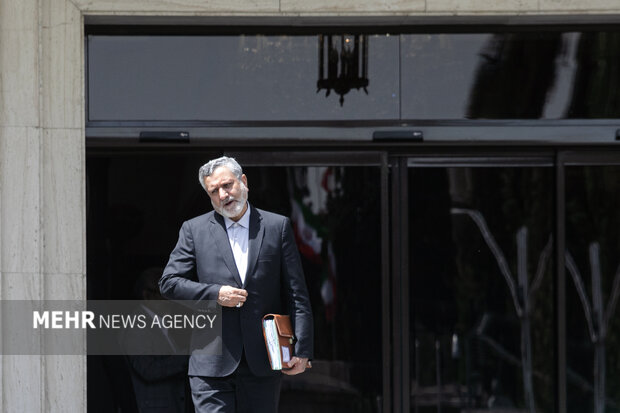 صولت مرتضوی وزیر تعاون کار و رفاه اجتماعی در حاشیه جلسه هیئت دولت حضور دارد