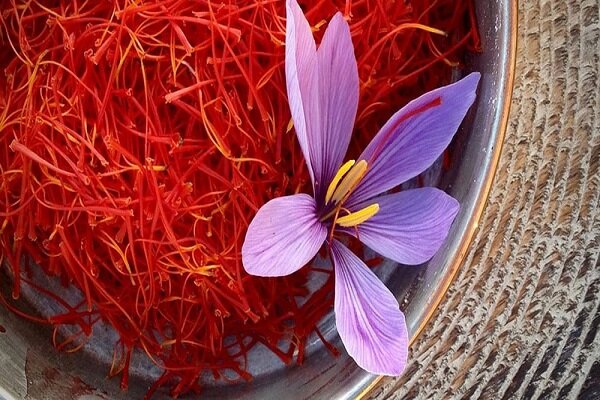 Where can I Buy original saffron in bulk?