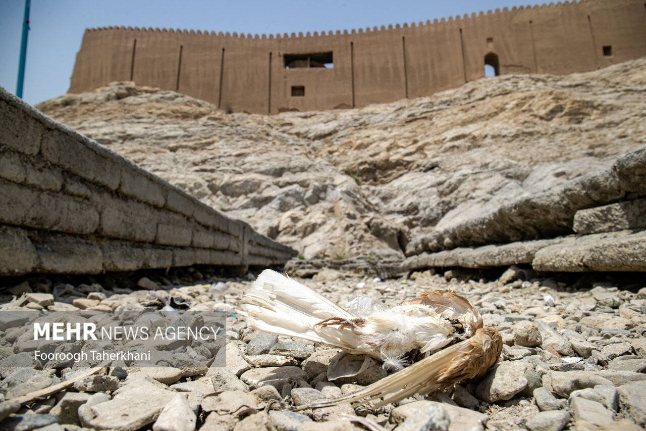 متهم اصلی خشکی چشمه علی چیست؟خط ۶مترو یا ساخت و ساز و حفرچاه