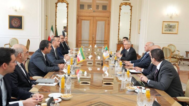 ایران اور الجزائر کے وزرائے خارجہ کی ملاقات، اہم علاقائی اور بین الاقوامی امور پر تبادلہ خیال