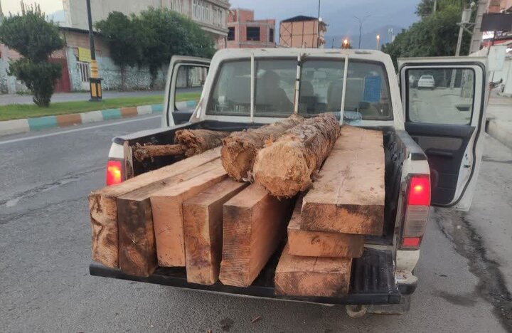 ۱۰ تن چوب قاچاق در شهرستان بهار کشف شد